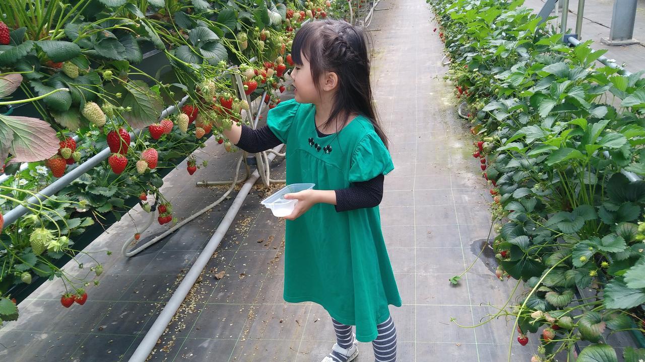 ホテル おやど 松葉屋 みなかみ町 エクステリア 写真