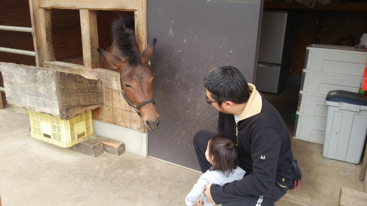 ホテル おやど 松葉屋 みなかみ町 エクステリア 写真